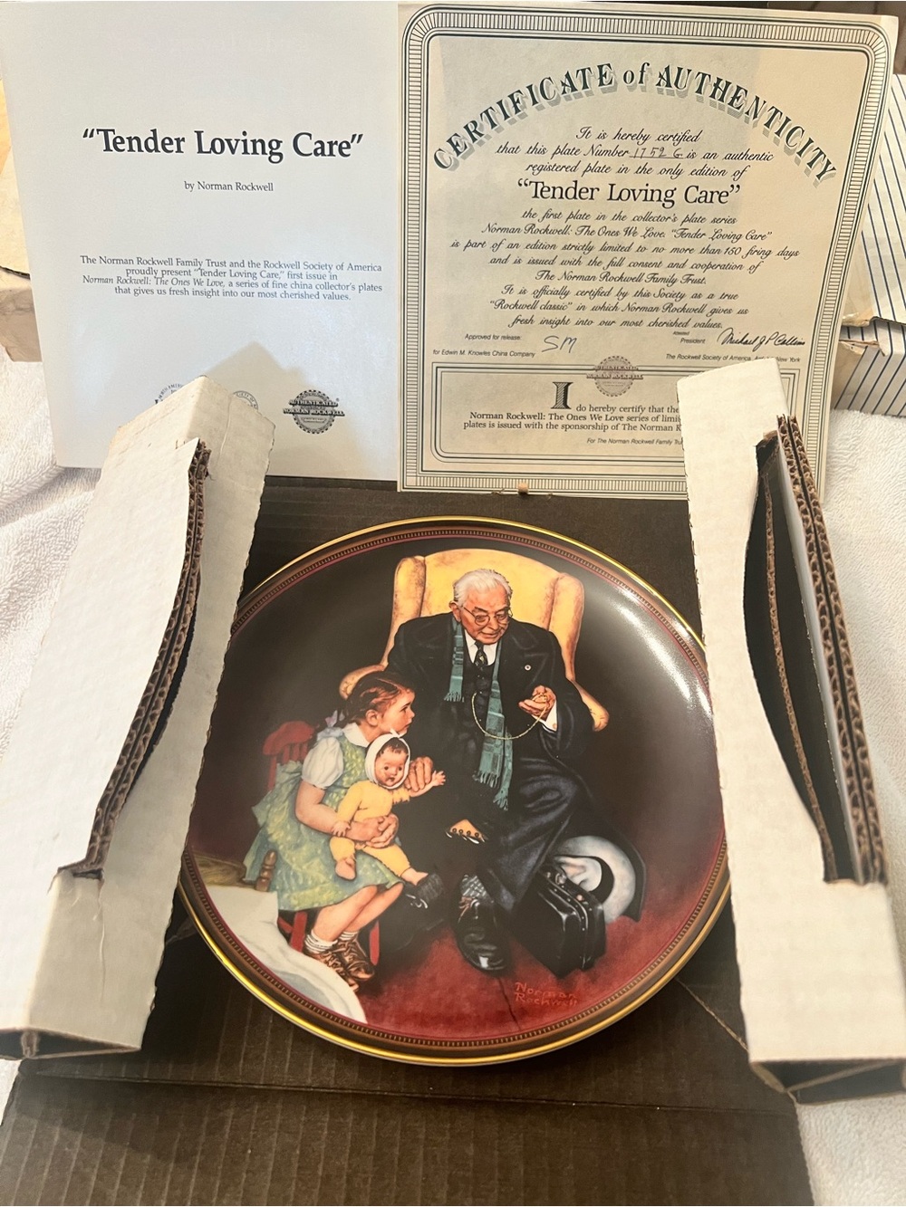 Edwin Knowles Rockwell Decorative Plate  -Tender Loving Care 1988